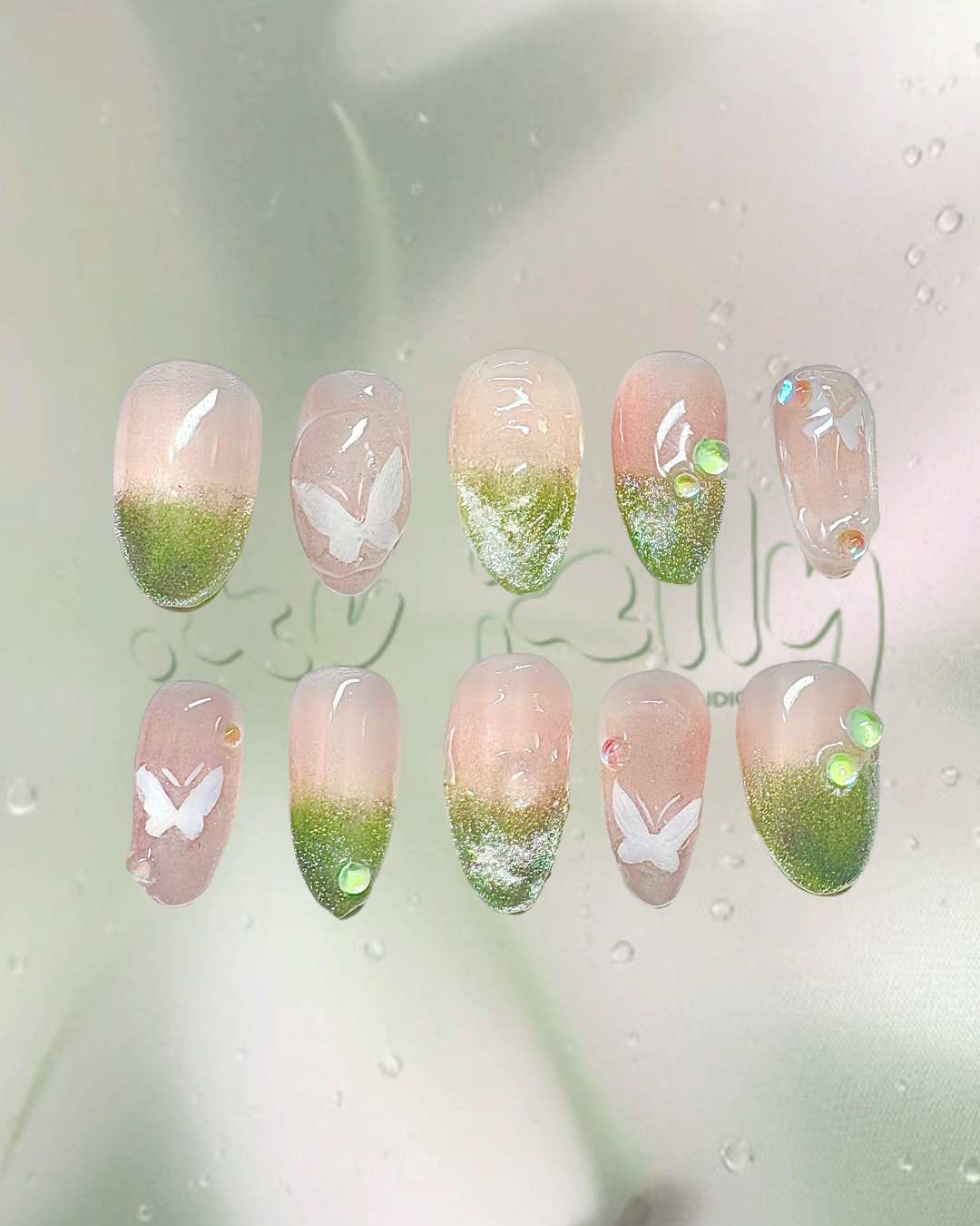 Cat Eye Butterfly Garden