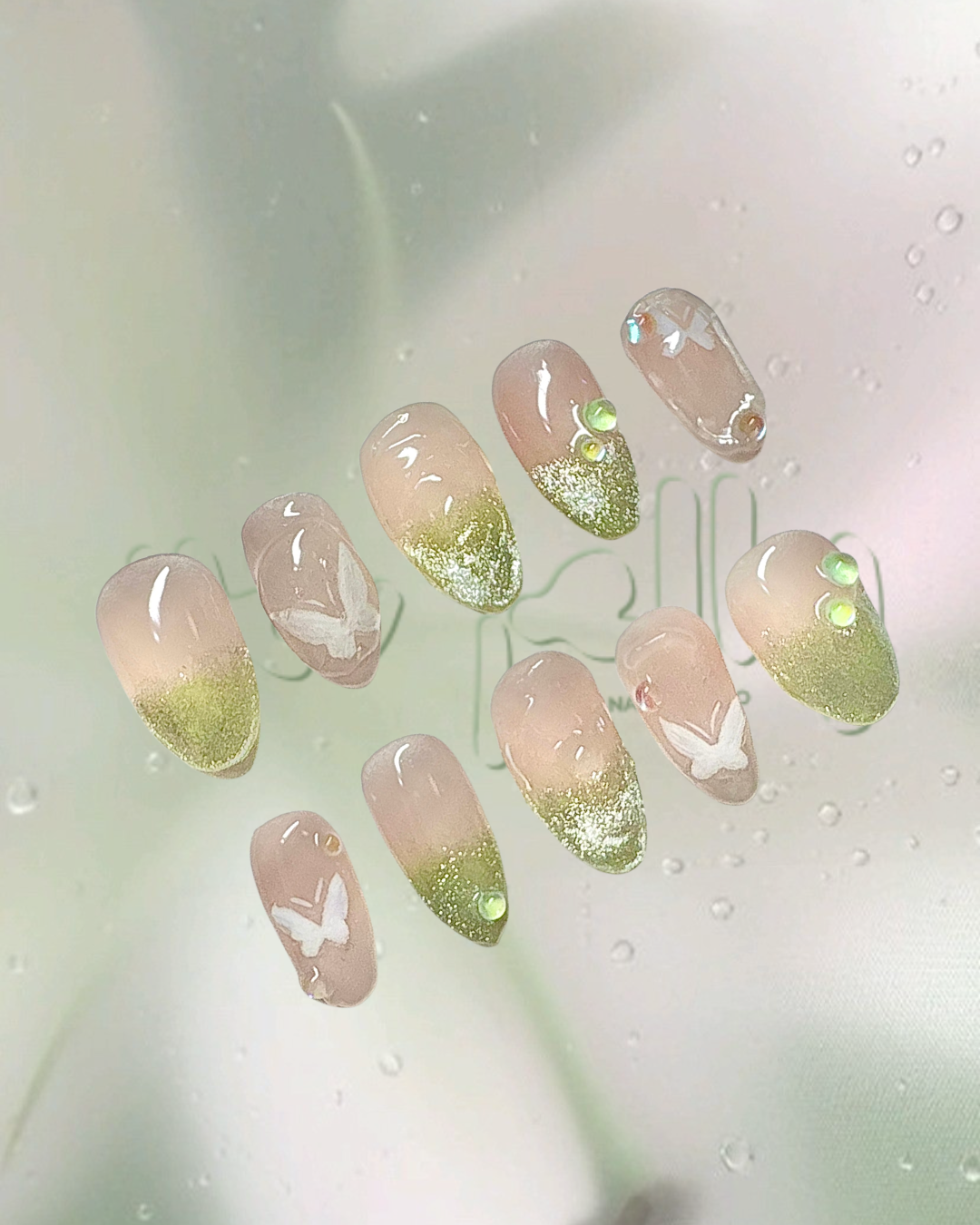 Cat Eye Butterfly Garden